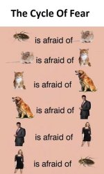 IMG_0142.jpeg