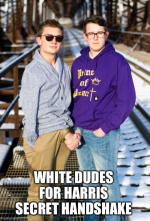 1722528446440.png