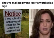 1723553683487.png