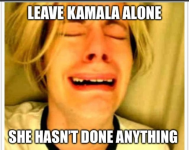 1723641748483.png