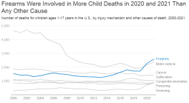 firearm deaths.PNG
