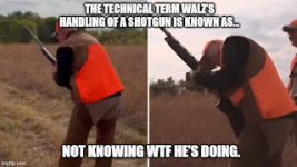 1729516490896.png