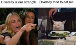 1729604314342.png