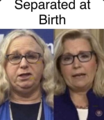 1729687087135.png