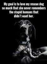 FB_IMG_1723652676439.jpg