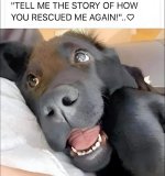 FB_IMG_1722865537513.jpg