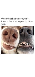 FB_IMG_1726780306987.jpg