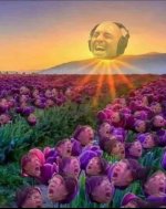 1000010691.jpg