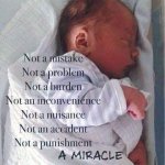 FB_IMG_1729349743462.jpg