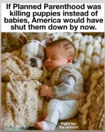 FB_IMG_1729422397354.jpg