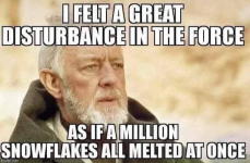 1730934657726.png