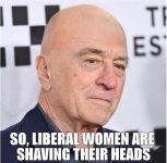 1731506227654.png