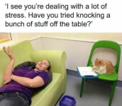 1731851225365.png