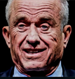 1731883768045.png