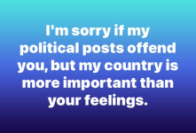1732217545545.png