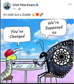 1732585213025.png