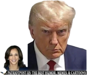 1732831809027.png