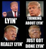 1734813600704.png