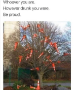 1734880976382.png
