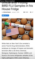 1736261469918.png