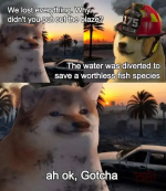 1736523076515.png