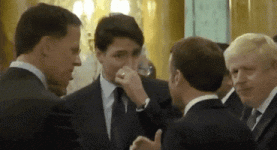 200 (4).gif