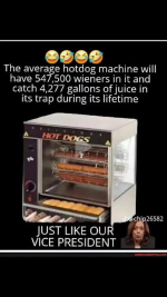 1736956245424.png