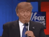 trump-donald-trump.gif