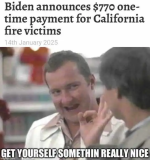 1737209820942.png