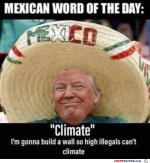 word-of-the-day.jpg