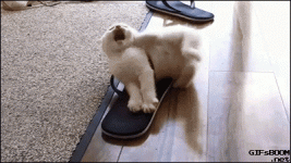 ab14ff8cce69ec1b05ddcab7c09a6191.gif