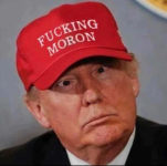 1738270174254.png