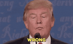 200 (10).gif