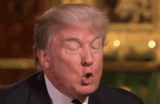 1000015227.gif