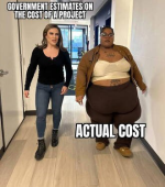 1738333608485.png