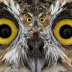 ezgif-1a63610fc4f11.gif