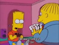images (77).jpeg
