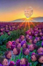 trumpshineonscreamingidiots.jpg