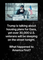 1739725902642.png