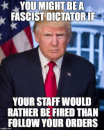 1740332358295.png