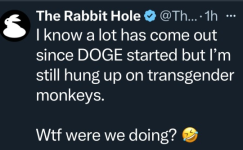 1740404768968.png
