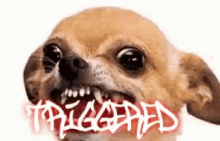 1000016713.gif