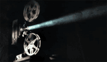 1000016903.gif