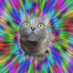 200w (28).gif