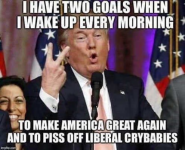 1741866596259.png