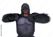 1742007750249.png
