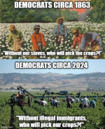 1742039000705.png
