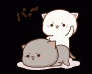 bad-kitty-bad-kitten.gif