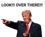 1000017242.jpg