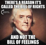 1742393440008.png